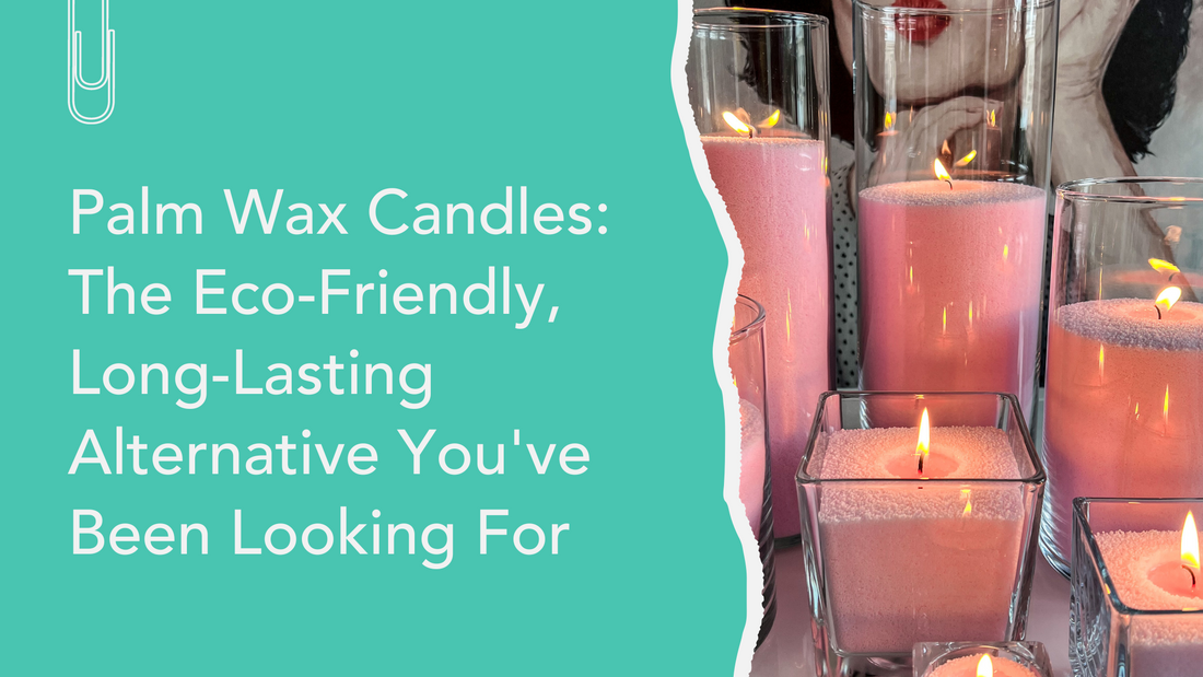 Palm Wax Candles: The Eco-Friendly, Long-Lasting Alternative You've Been Looking For