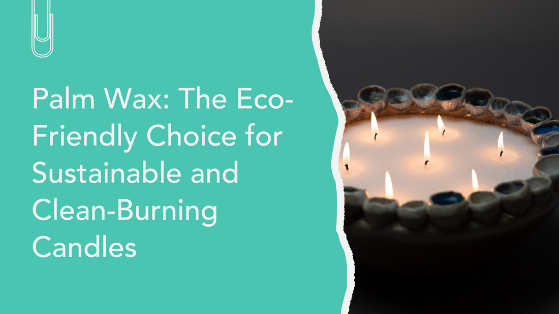 Palm Wax: The Eco-Friendly Choice for Sustainable and Clean-Burning Candles